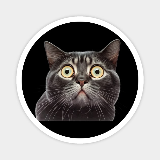 Funny Scared Cat Face, Cat Lover, Scaredy Cat Magnet by logiamerch